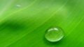 Your Source For for Green Technology Information